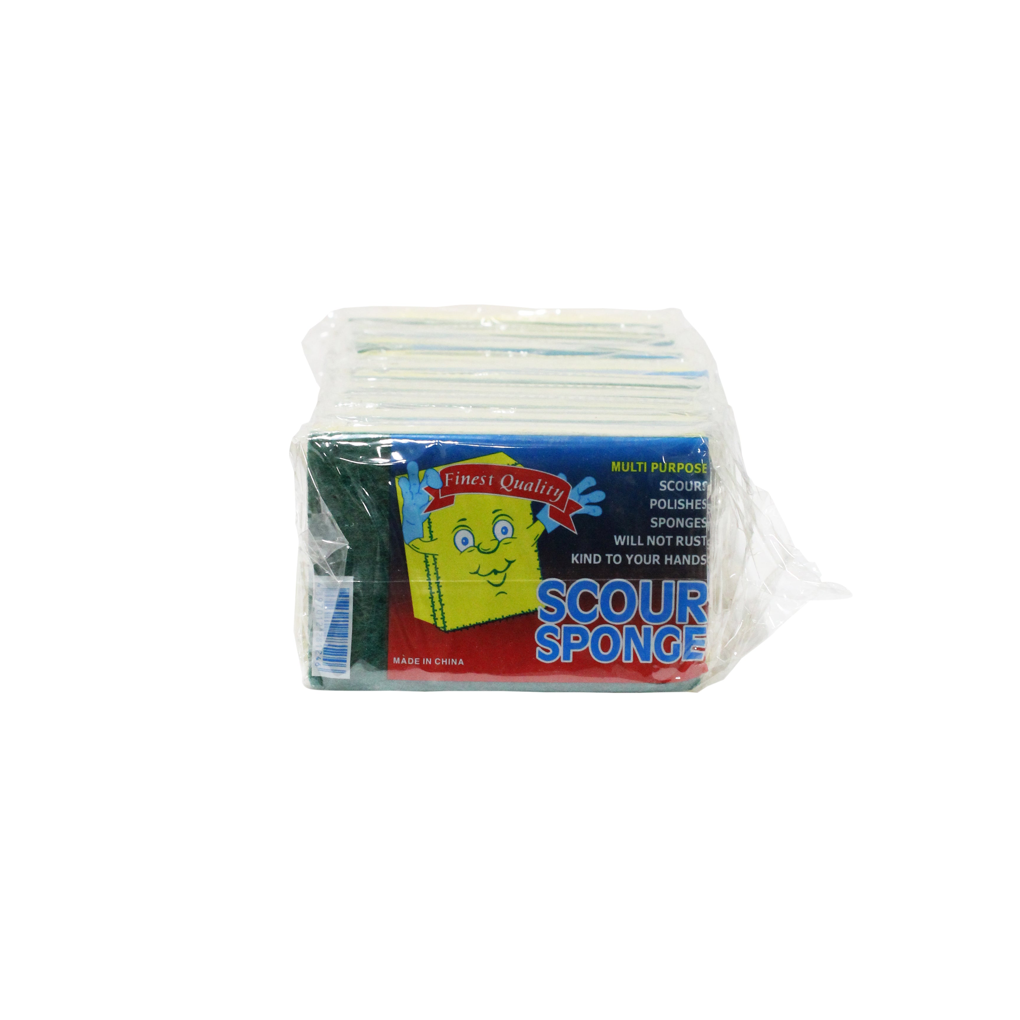 Scour Sponge 10pack